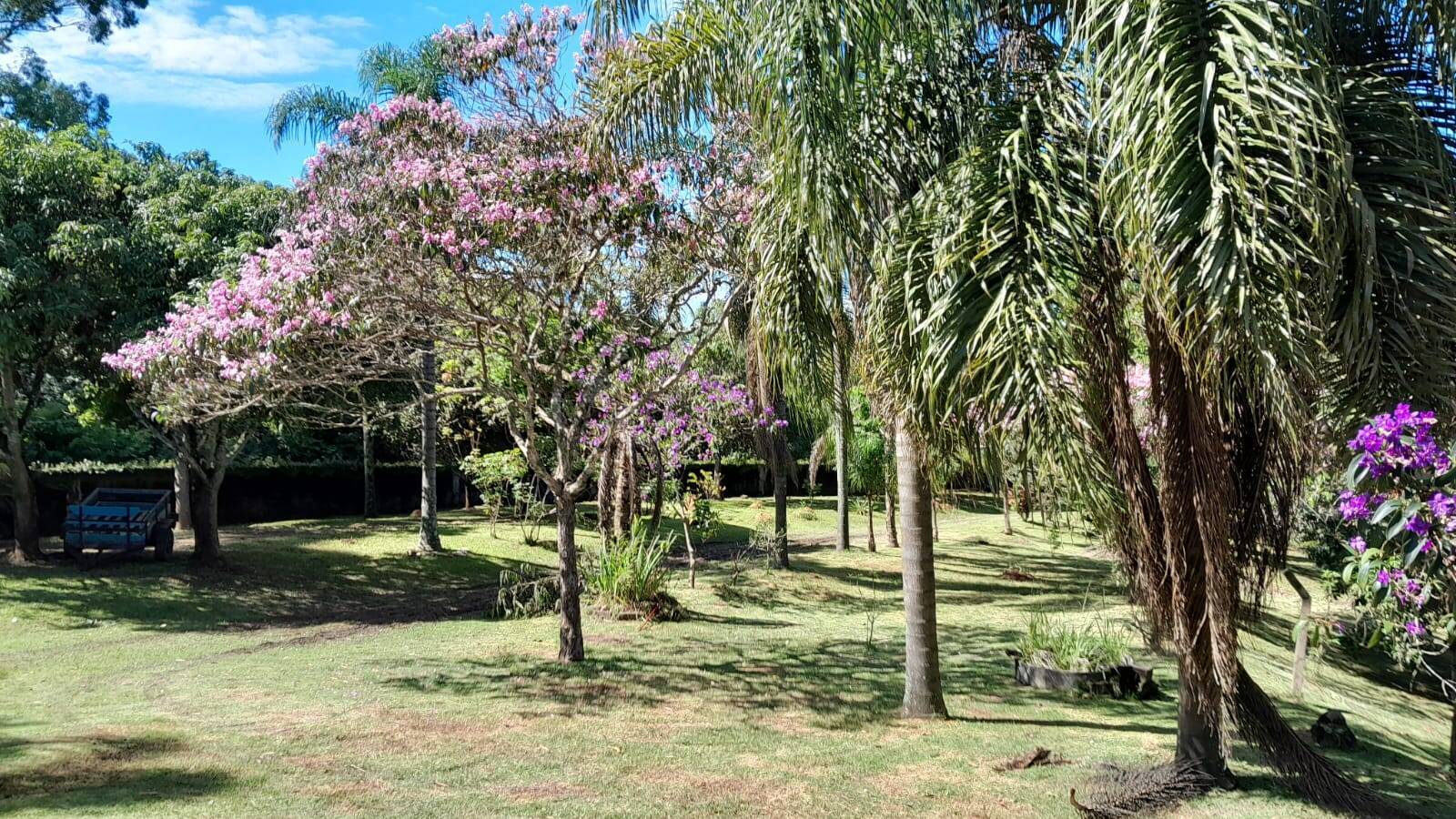 Fazenda à venda com 3 quartos, 3662m² - Foto 1