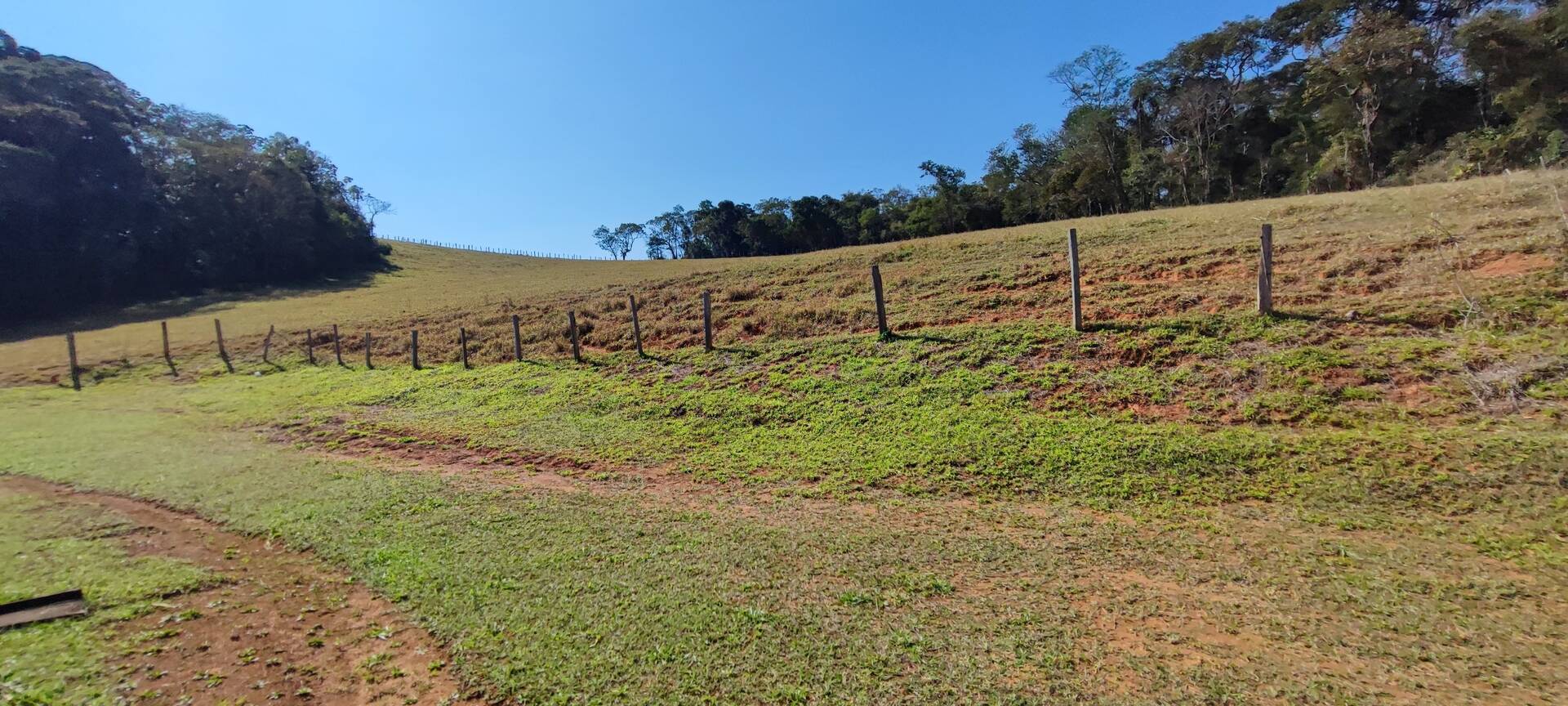 Fazenda à venda com 9 quartos, 202000m² - Foto 30