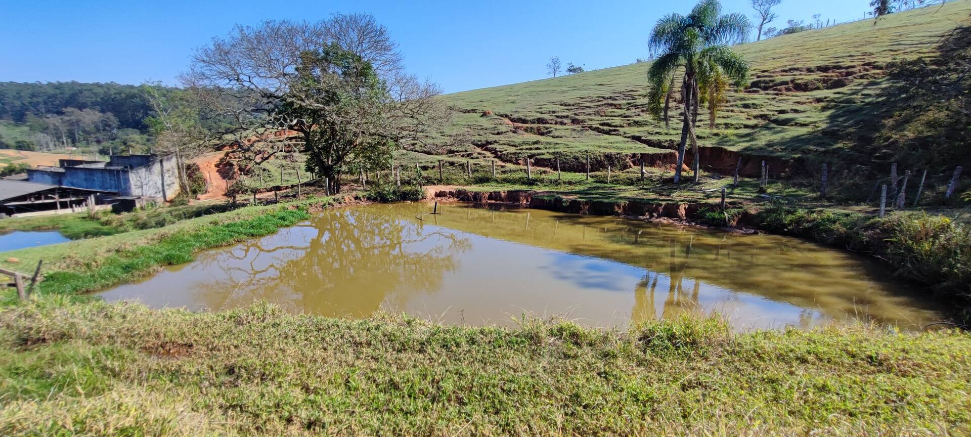 Fazenda à venda com 9 quartos, 202000m² - Foto 35