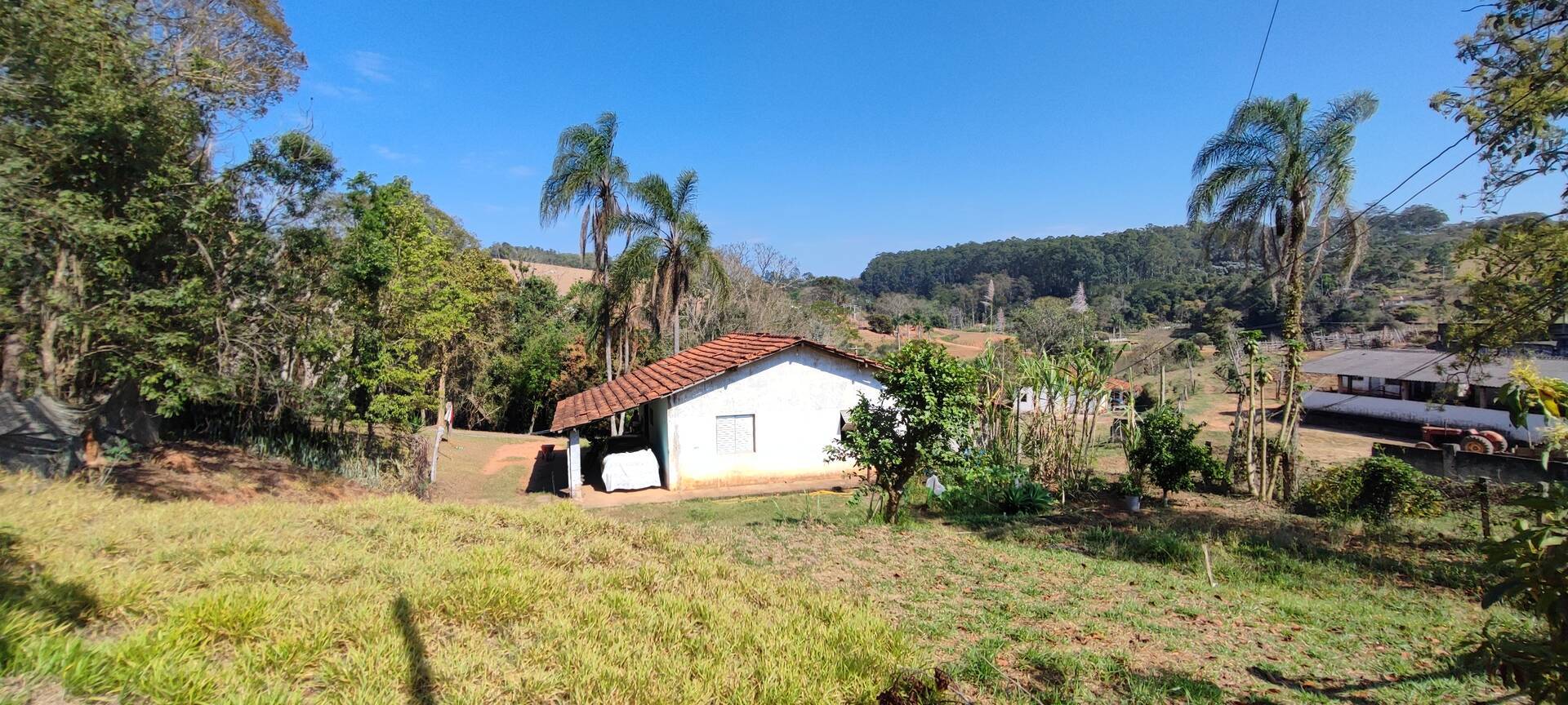 Fazenda à venda com 9 quartos, 202000m² - Foto 39