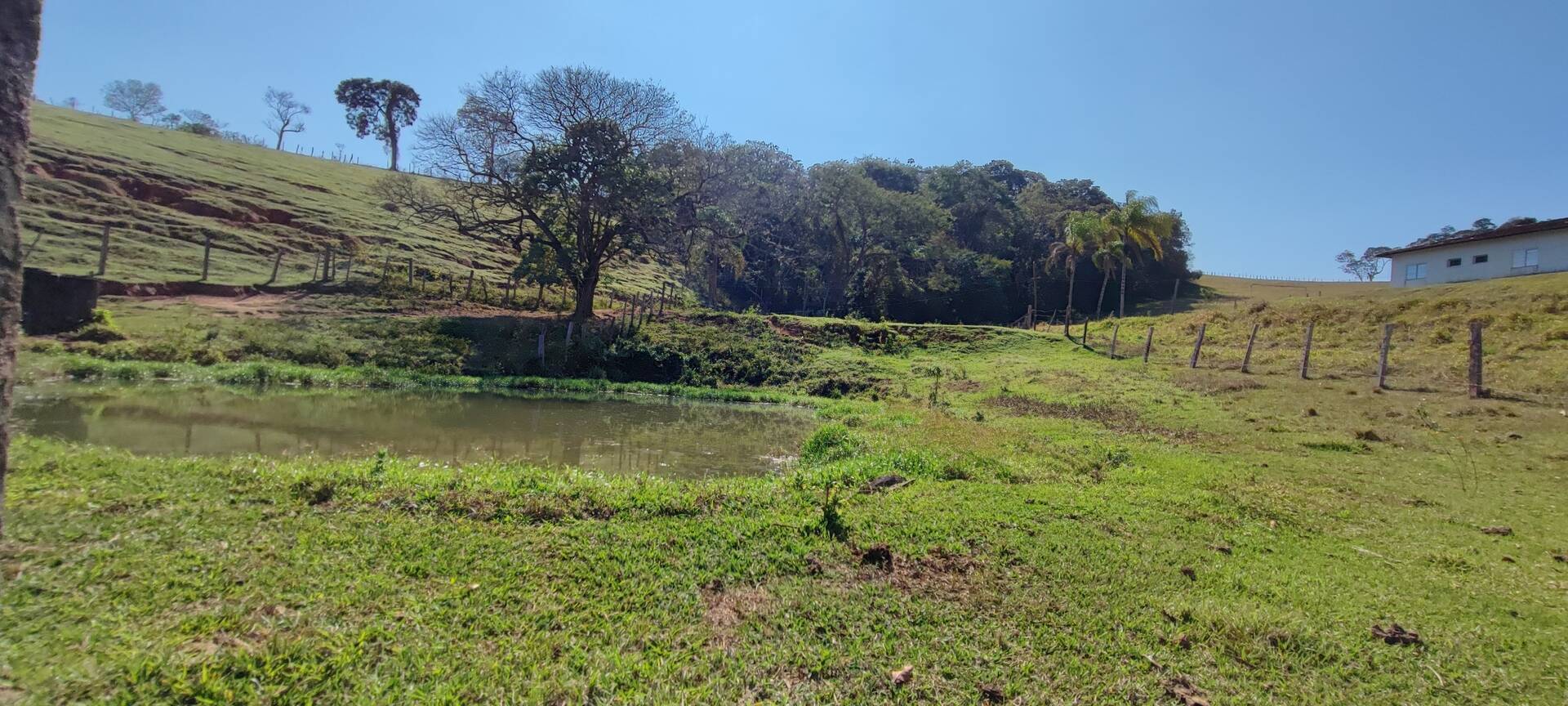 Fazenda à venda com 9 quartos, 202000m² - Foto 42