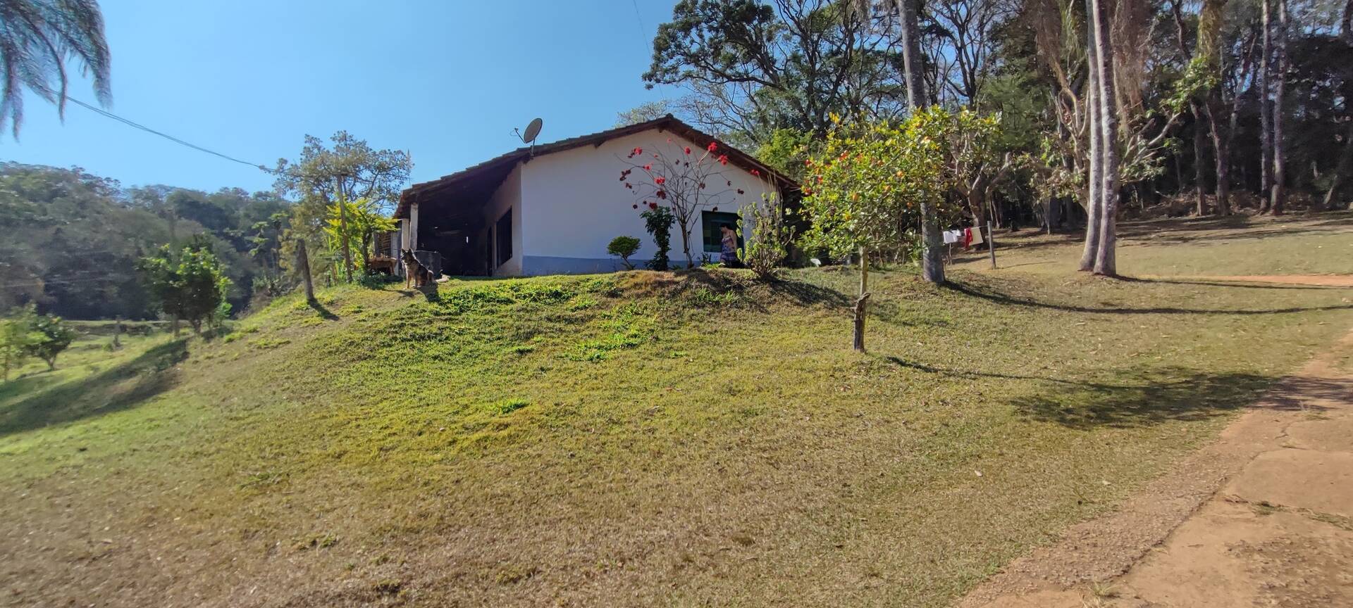 Fazenda à venda com 9 quartos, 202000m² - Foto 50