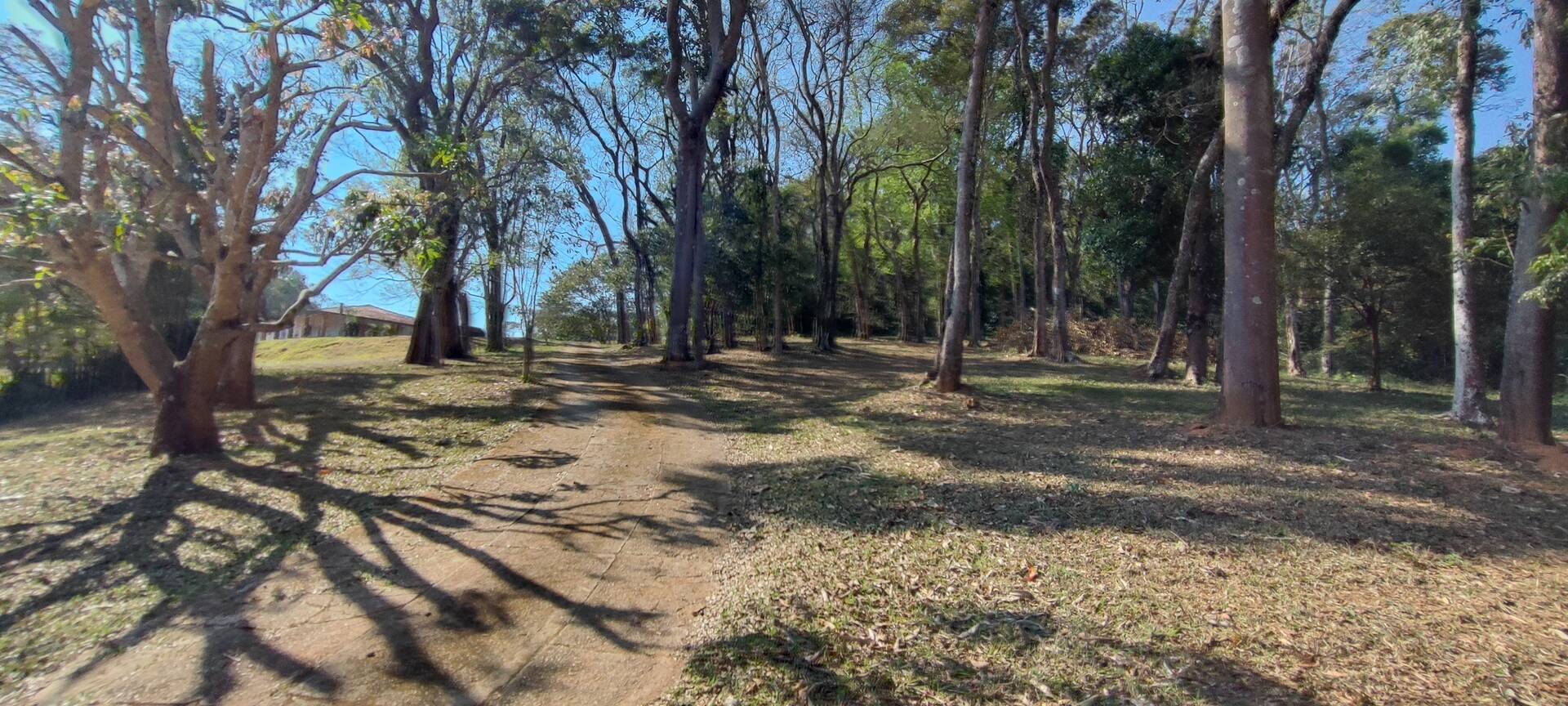 Fazenda à venda com 9 quartos, 202000m² - Foto 52