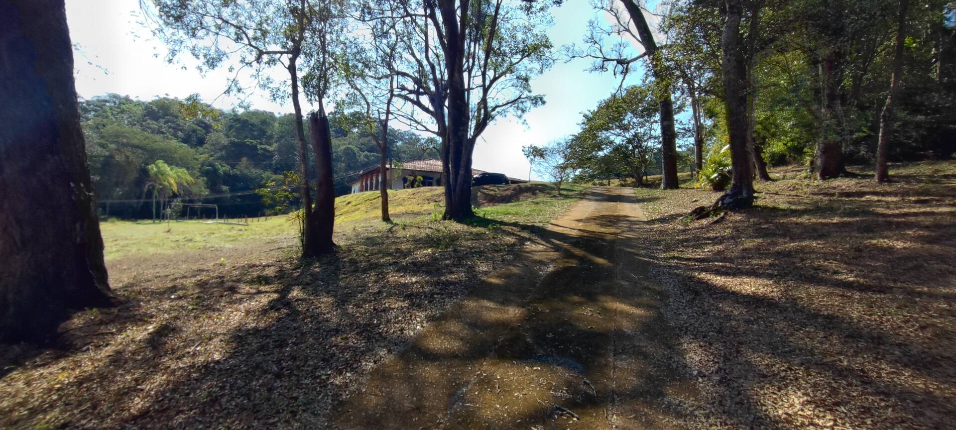 Fazenda à venda com 9 quartos, 202000m² - Foto 54