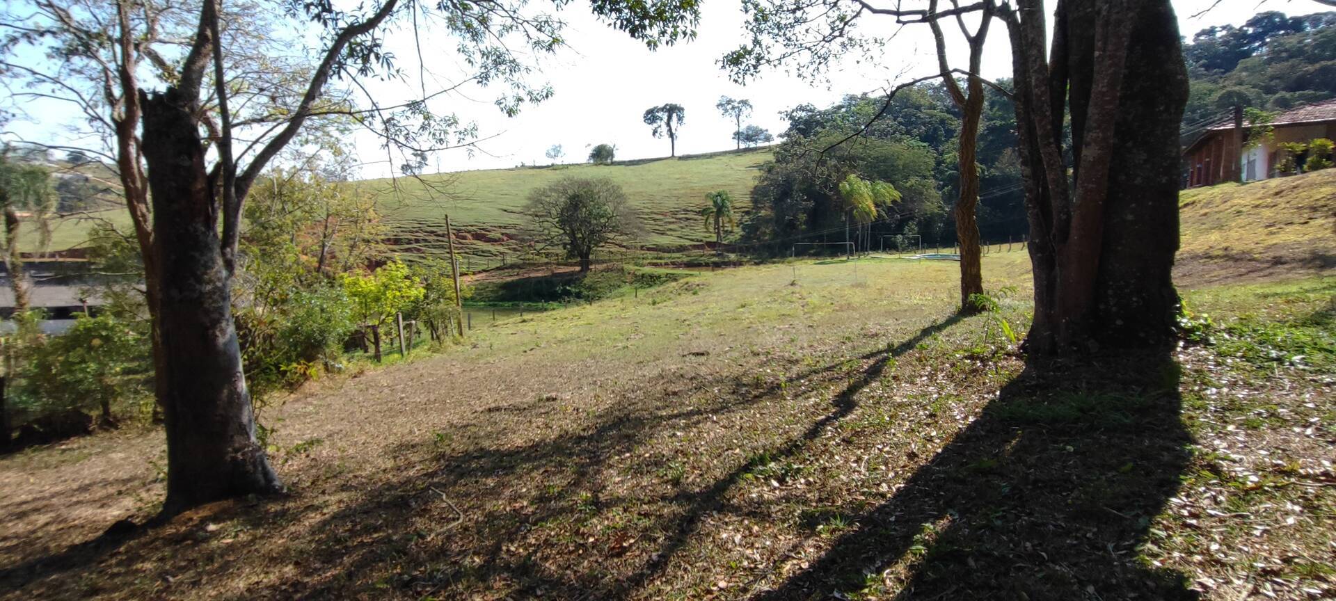 Fazenda à venda com 9 quartos, 202000m² - Foto 55