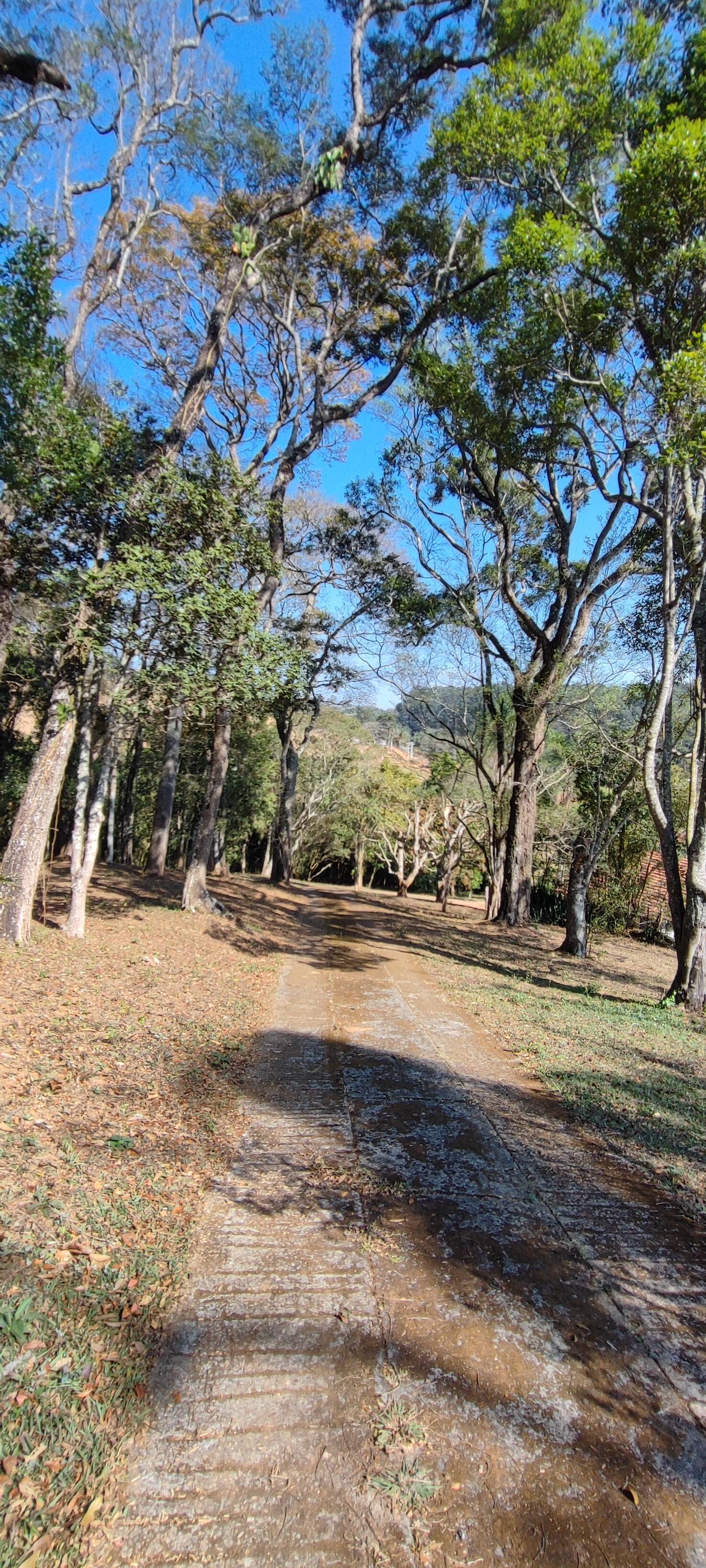 Fazenda à venda com 9 quartos, 202000m² - Foto 56