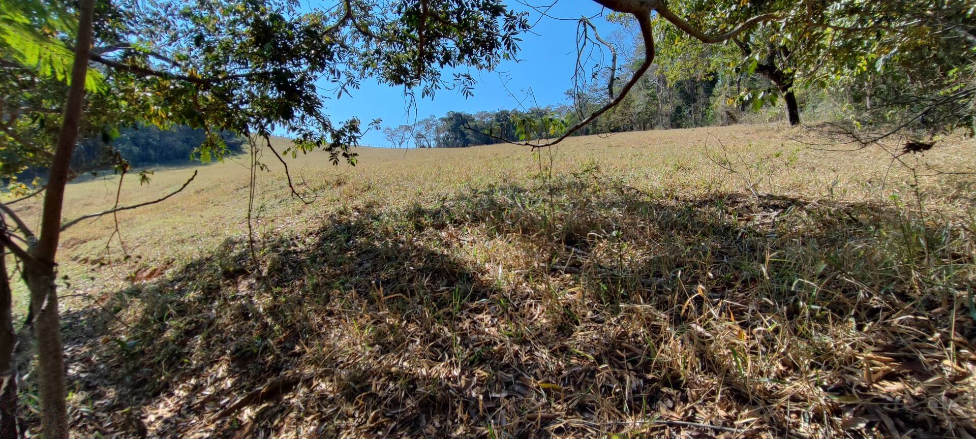 Fazenda à venda com 9 quartos, 202000m² - Foto 59