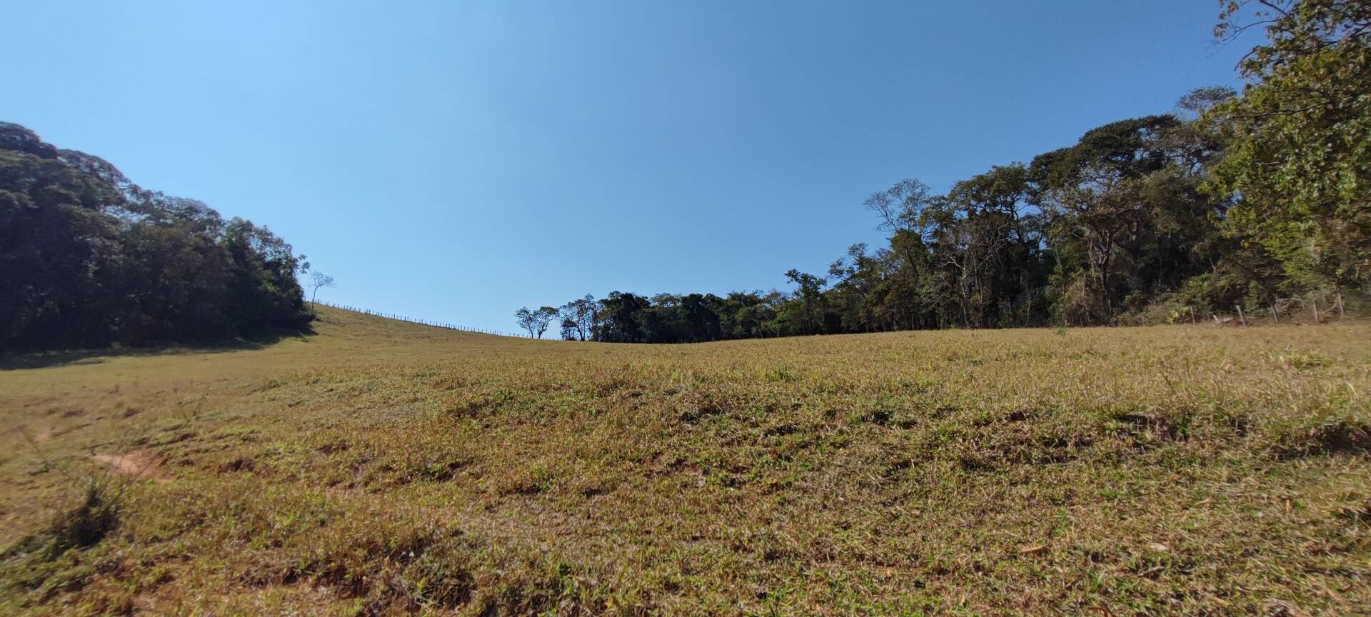 Fazenda à venda com 9 quartos, 202000m² - Foto 60