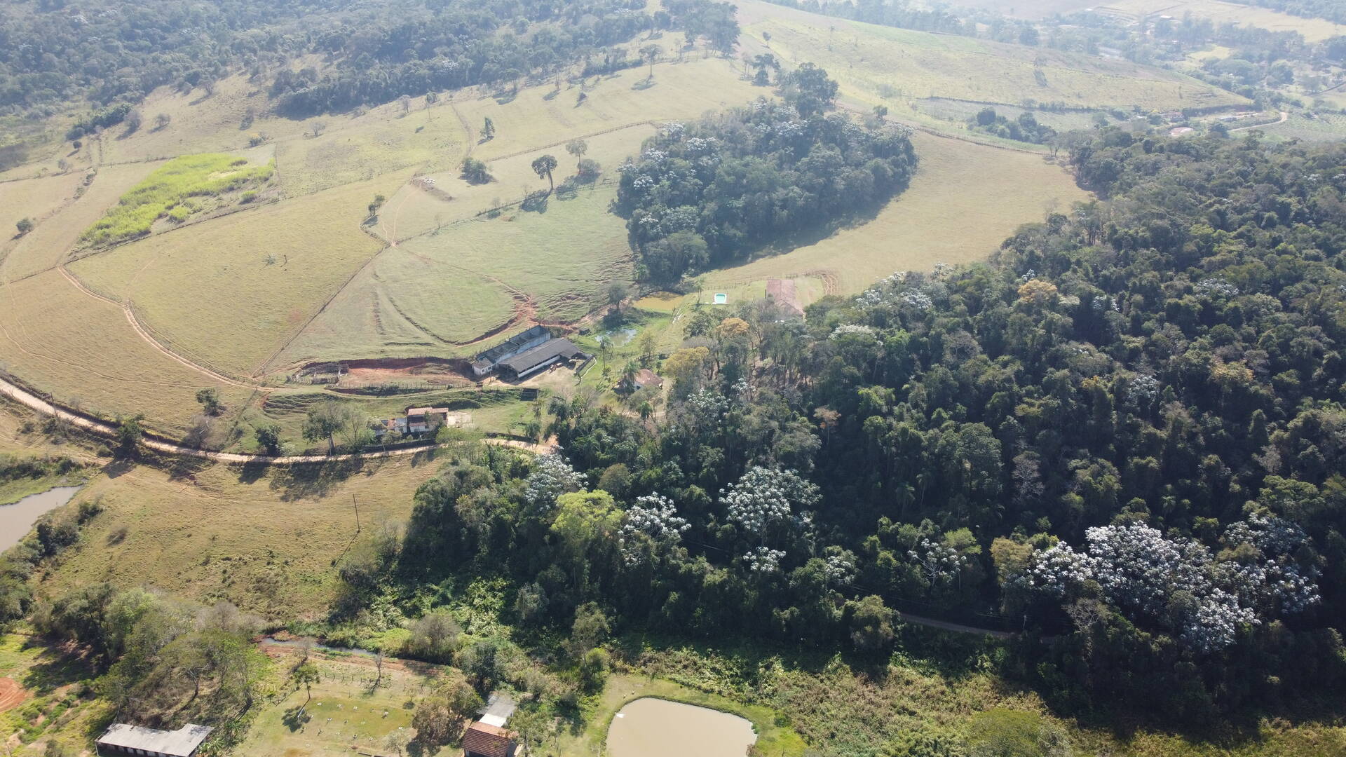 Fazenda à venda com 9 quartos, 202000m² - Foto 85