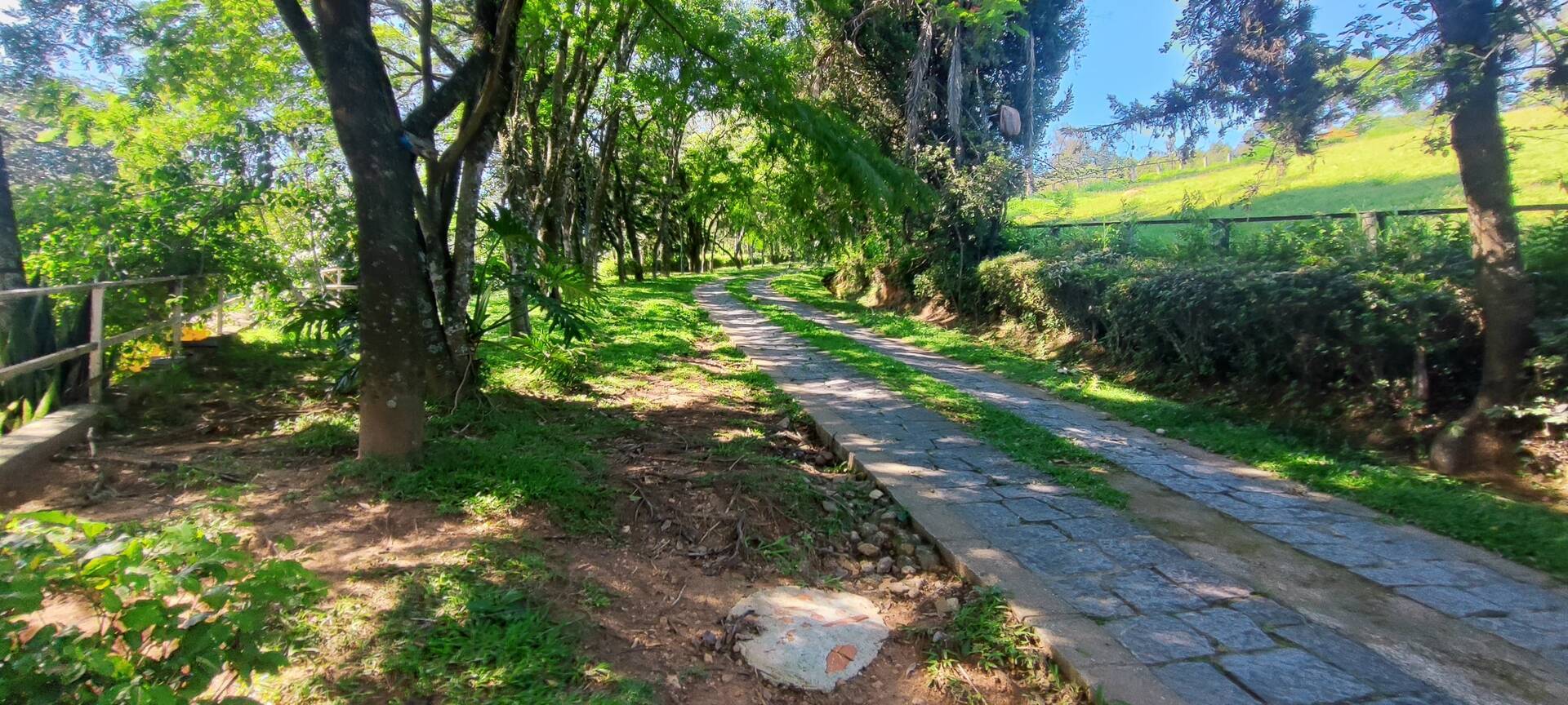 Fazenda à venda com 7 quartos, 242000m² - Foto 3