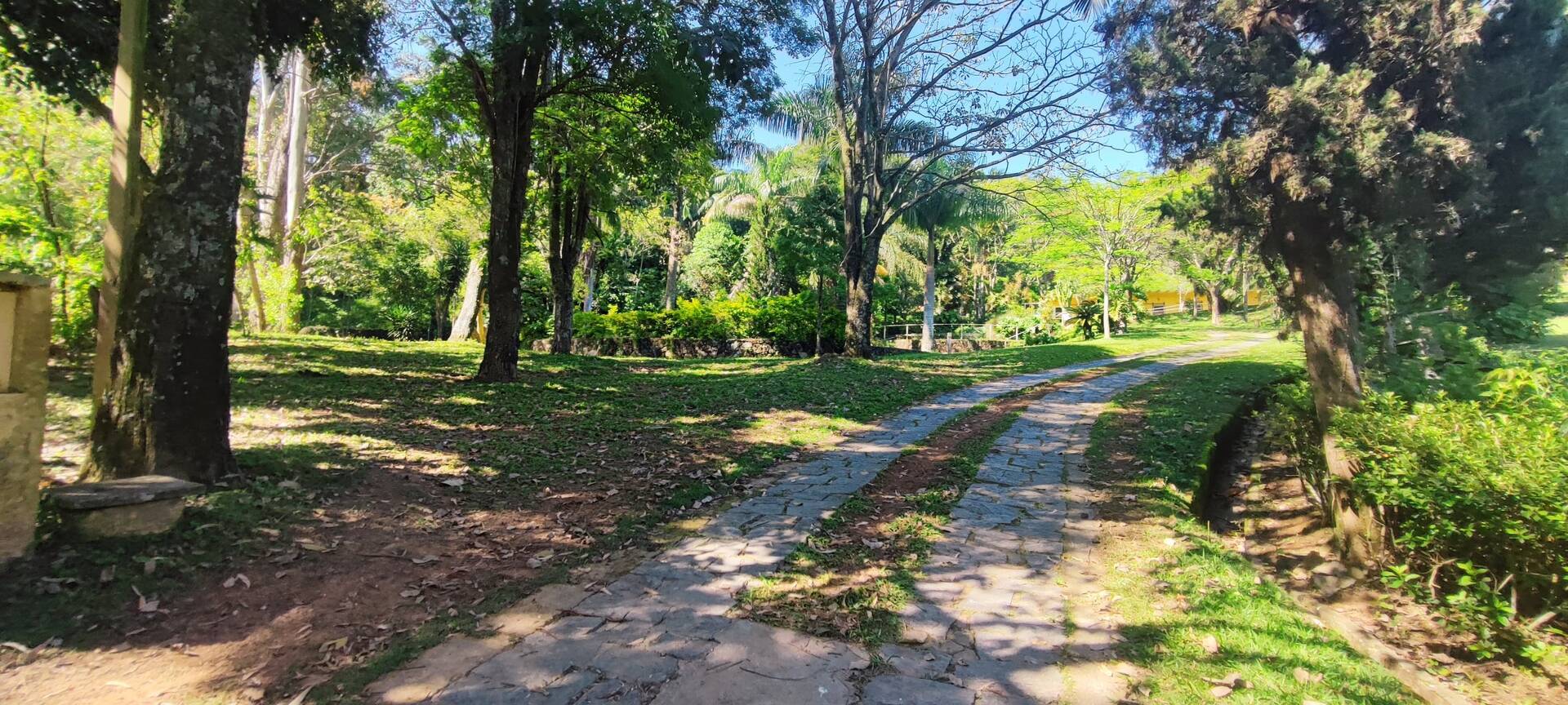 Fazenda à venda com 7 quartos, 242000m² - Foto 4