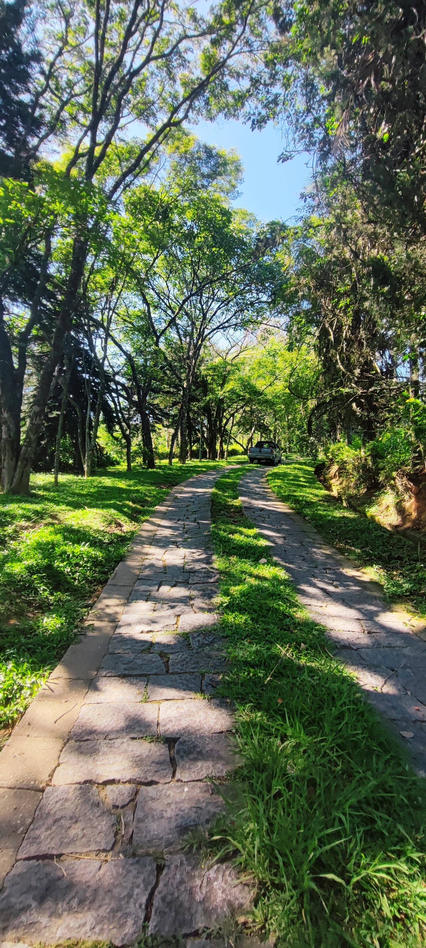 Fazenda à venda com 7 quartos, 242000m² - Foto 5