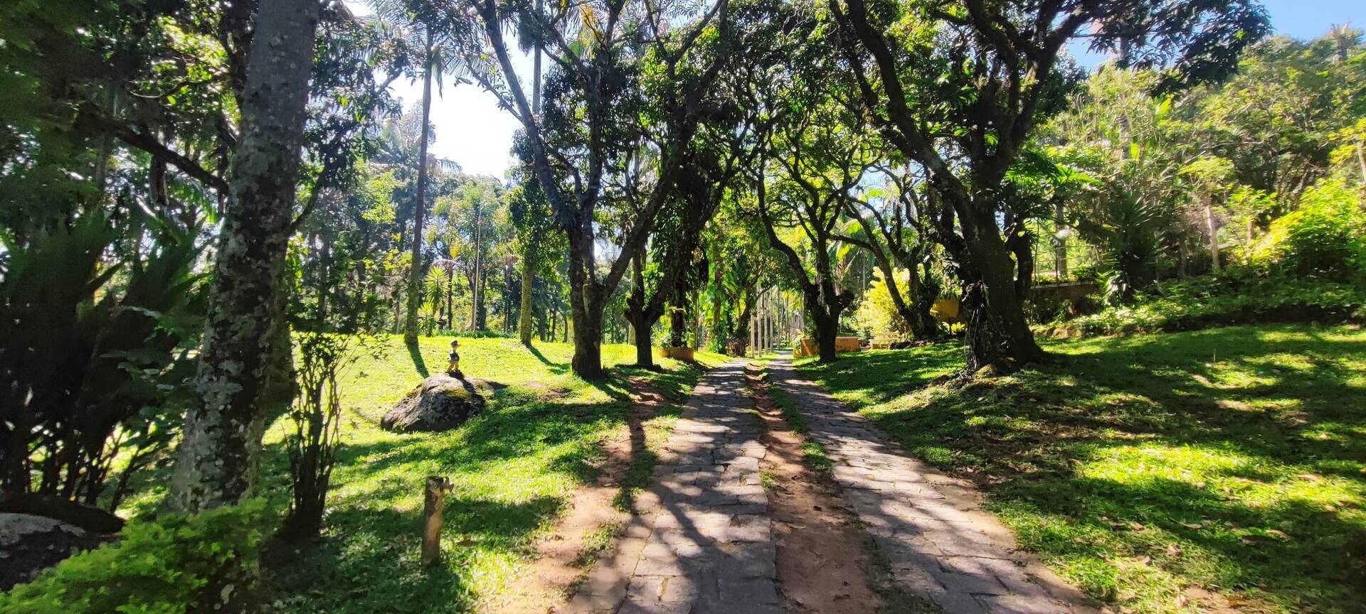 Fazenda à venda com 7 quartos, 242000m² - Foto 6