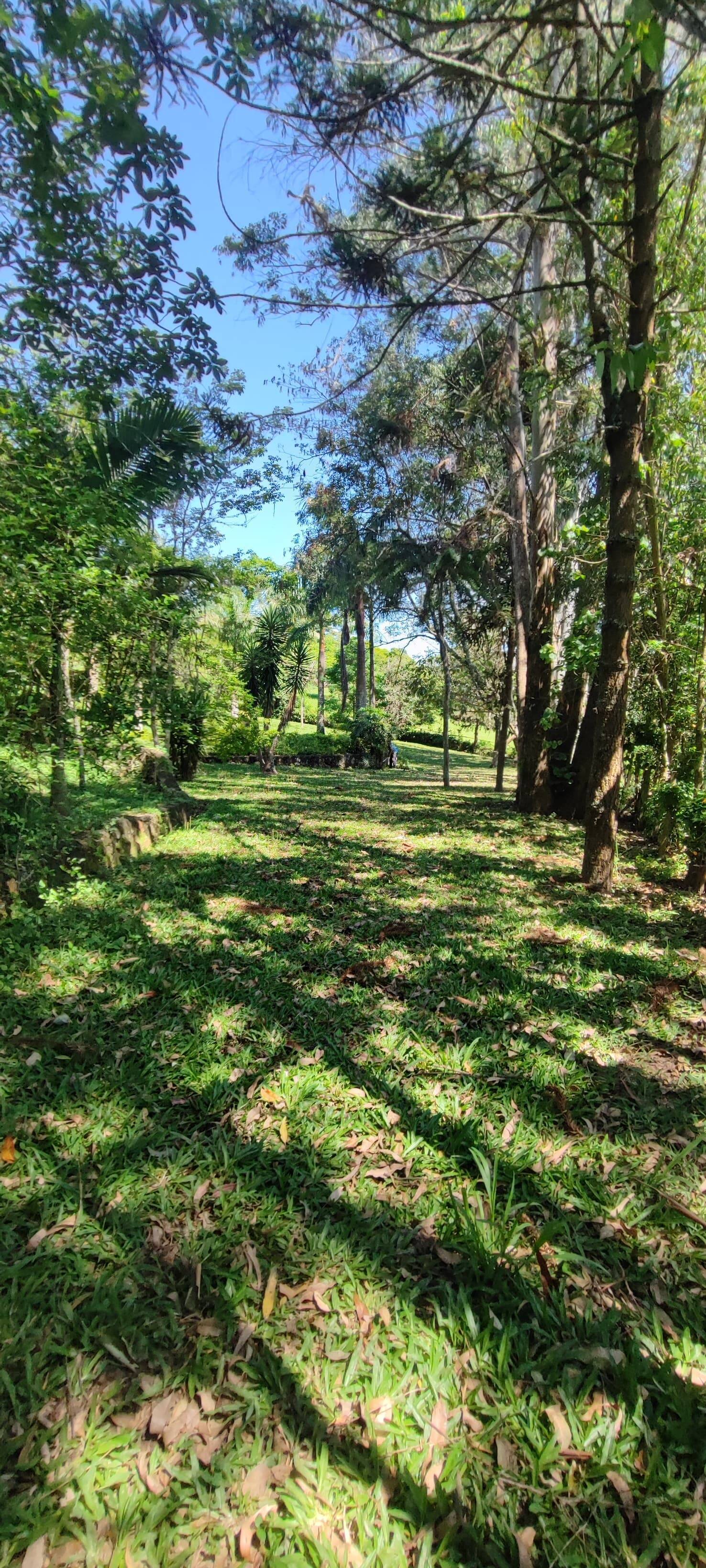 Fazenda à venda com 7 quartos, 242000m² - Foto 7