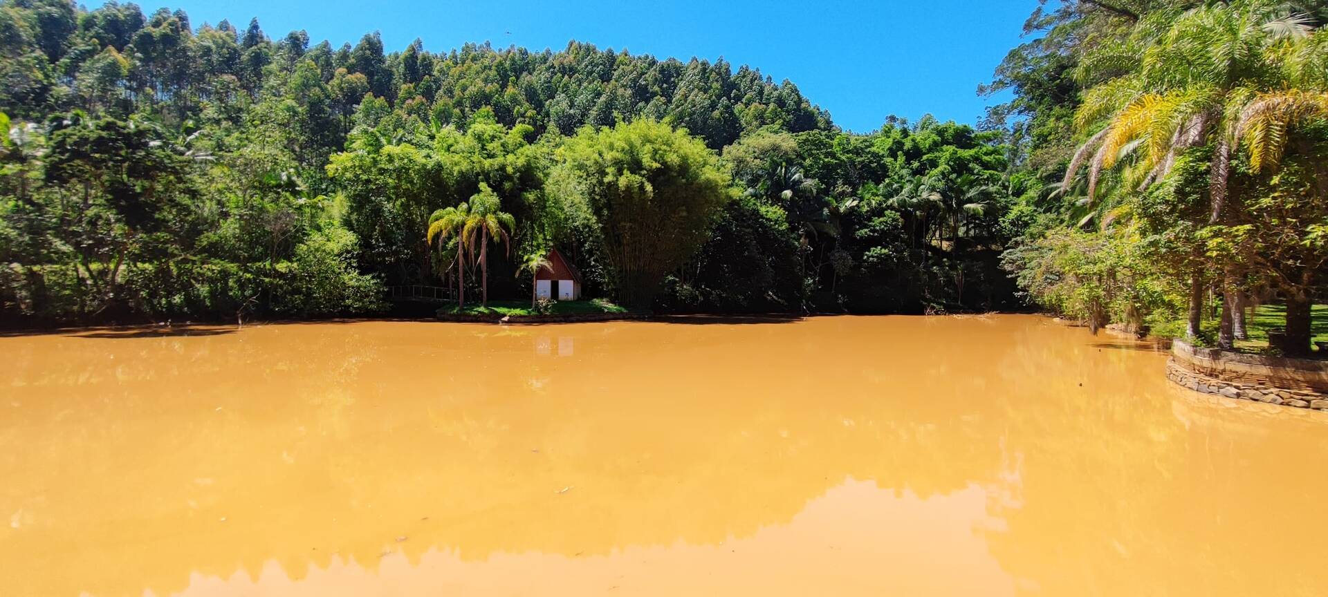 Fazenda à venda com 7 quartos, 242000m² - Foto 12