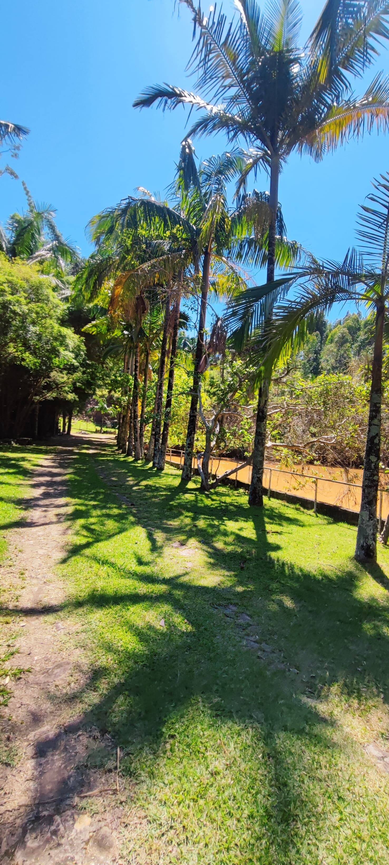 Fazenda à venda com 7 quartos, 242000m² - Foto 13