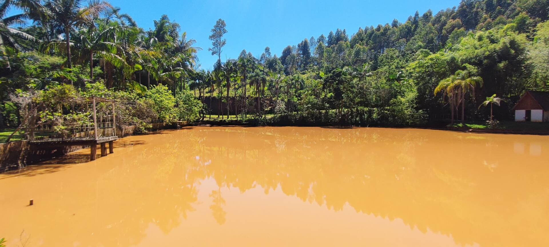 Fazenda à venda com 7 quartos, 242000m² - Foto 15