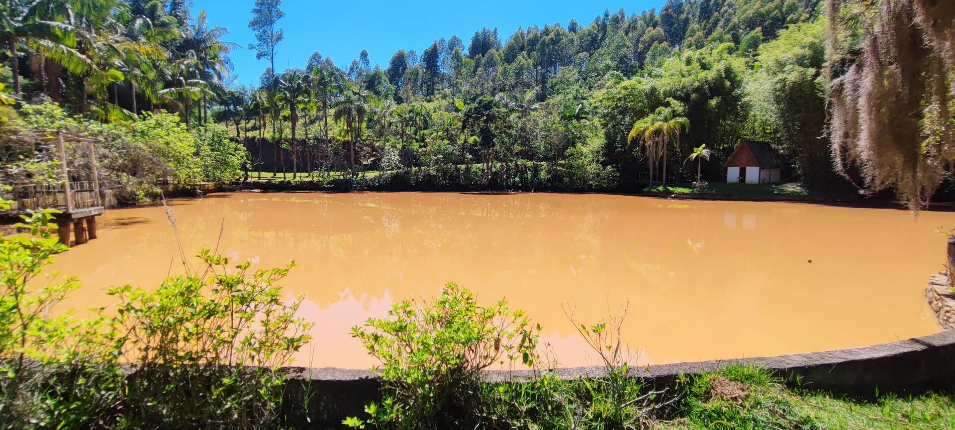 Fazenda à venda com 7 quartos, 242000m² - Foto 16