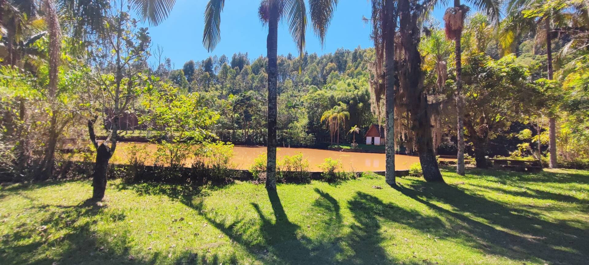 Fazenda à venda com 7 quartos, 242000m² - Foto 17