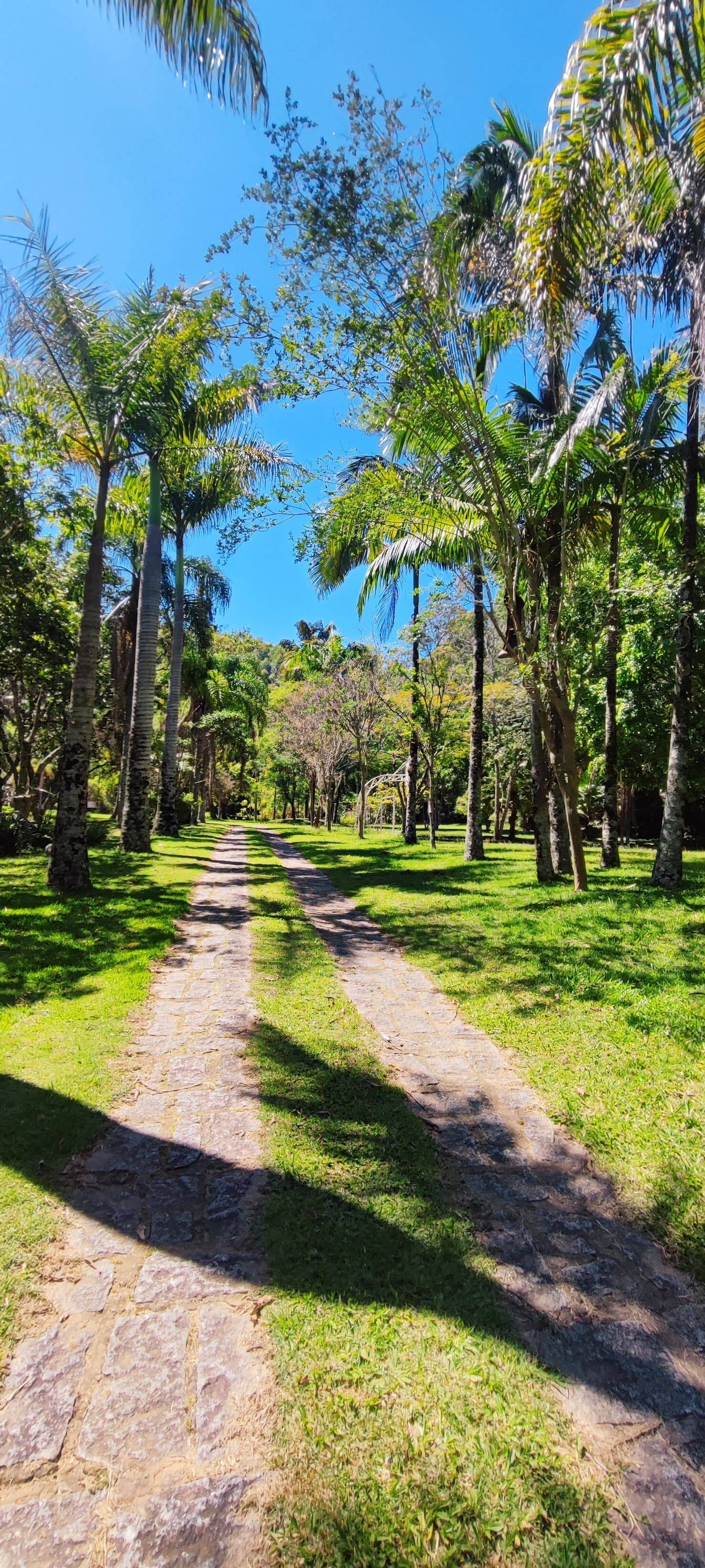 Fazenda à venda com 7 quartos, 242000m² - Foto 23