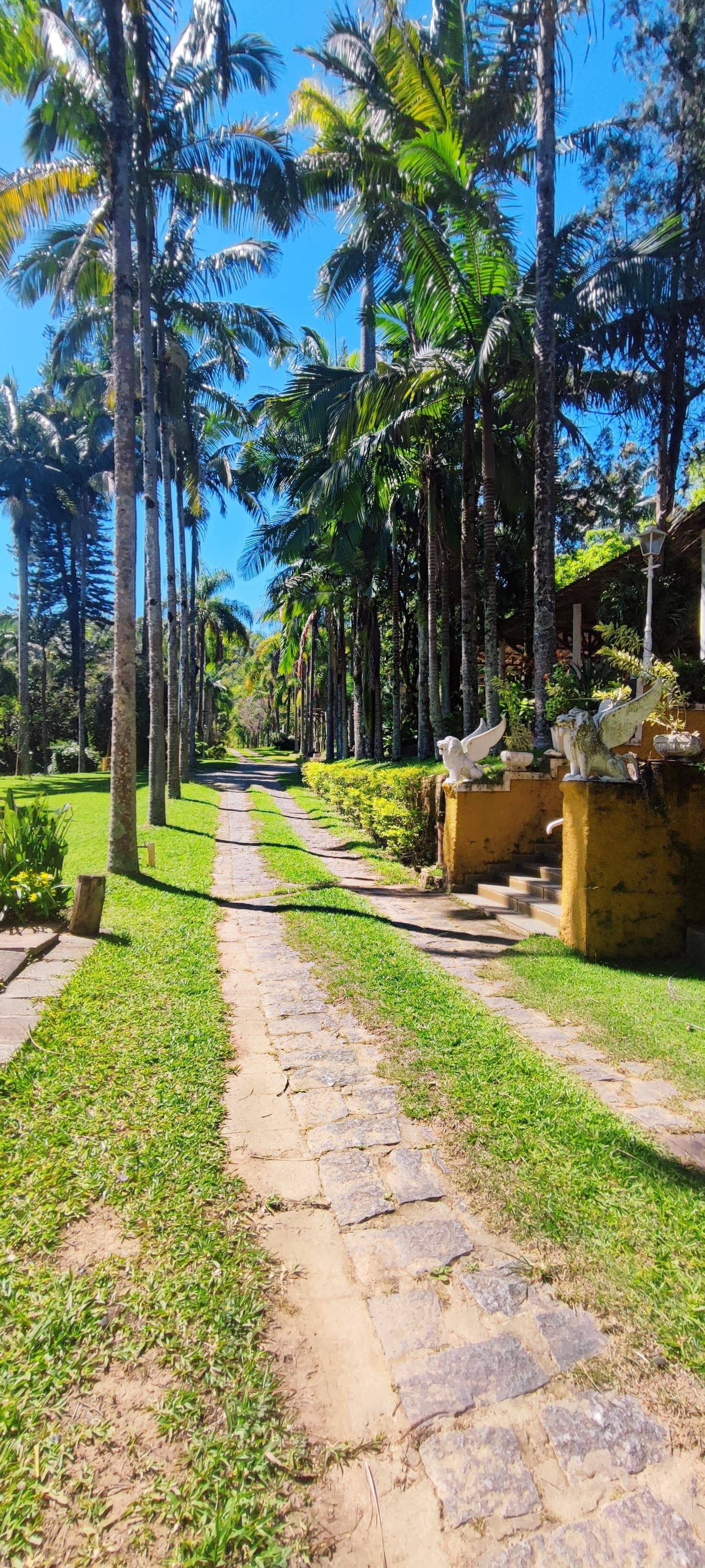 Fazenda à venda com 7 quartos, 242000m² - Foto 66