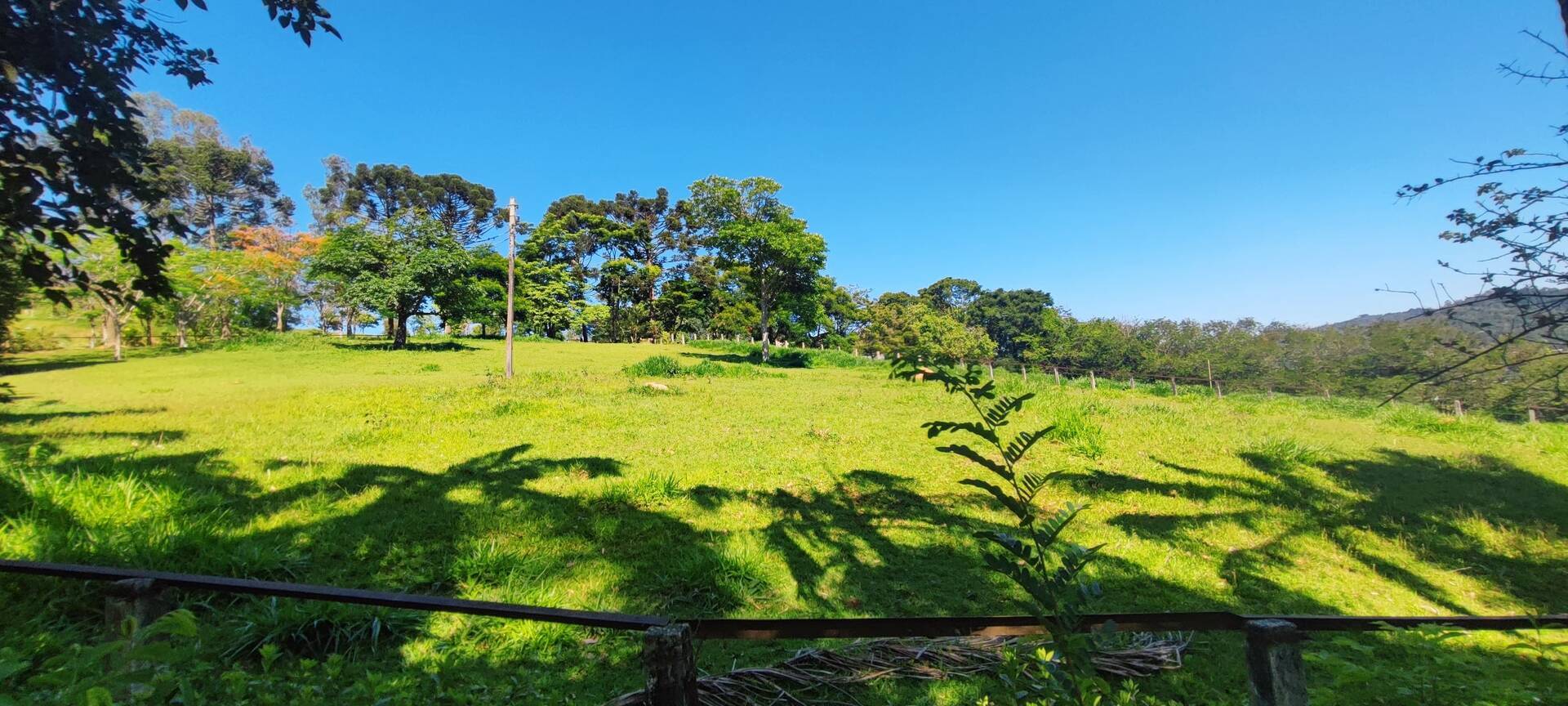 Fazenda à venda com 7 quartos, 242000m² - Foto 72