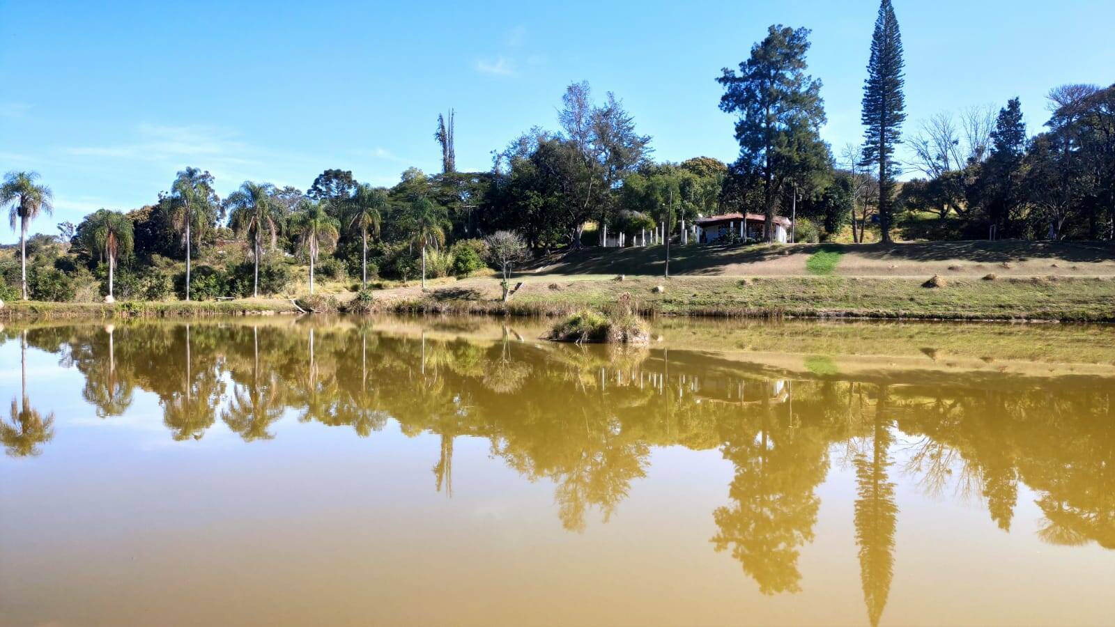 Fazenda à venda com 4 quartos, 363000m² - Foto 1