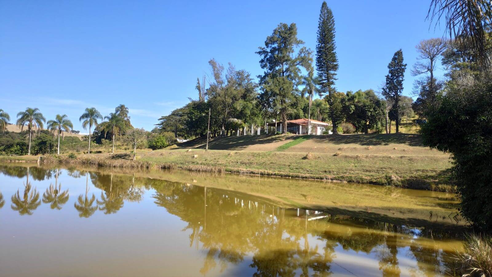 Fazenda à venda com 4 quartos, 363000m² - Foto 2