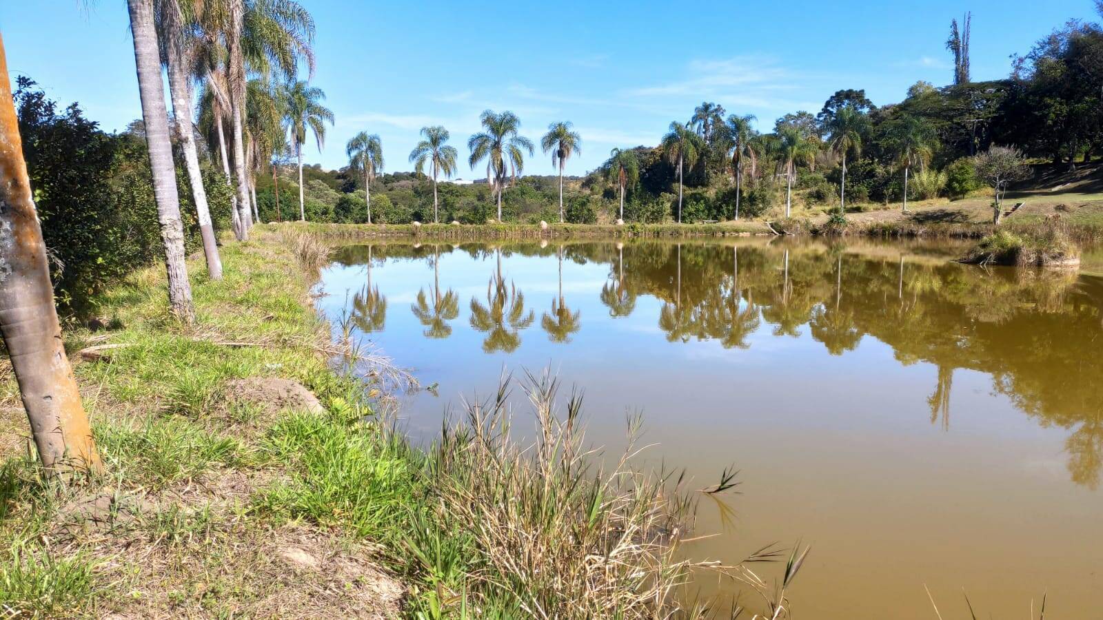 Fazenda à venda com 4 quartos, 363000m² - Foto 4