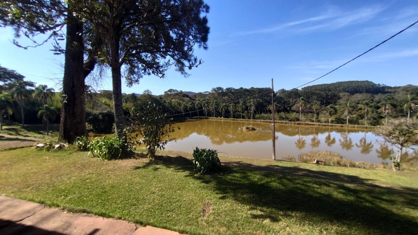 Fazenda à venda com 4 quartos, 363000m² - Foto 6