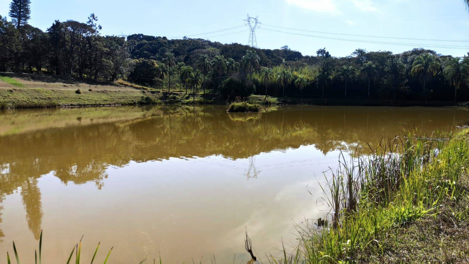 Fazenda à venda com 4 quartos, 363000m² - Foto 14