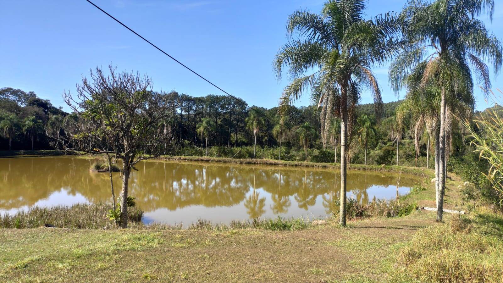 Fazenda à venda com 4 quartos, 363000m² - Foto 25