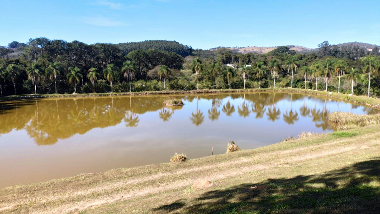 Fazenda à venda com 4 quartos, 363000m² - Foto 36