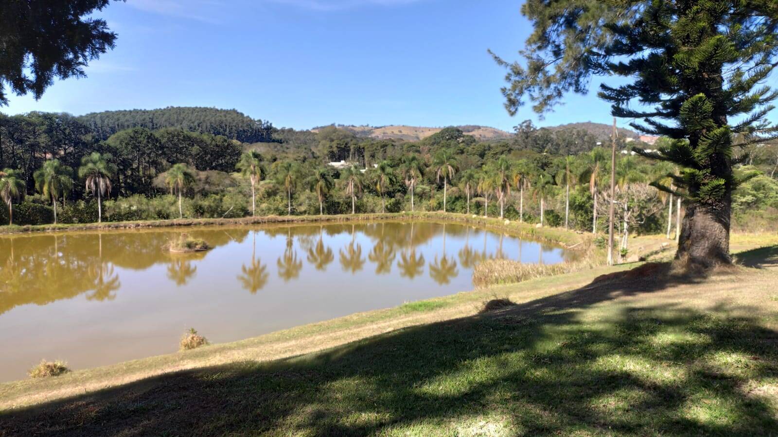 Fazenda à venda com 4 quartos, 363000m² - Foto 39