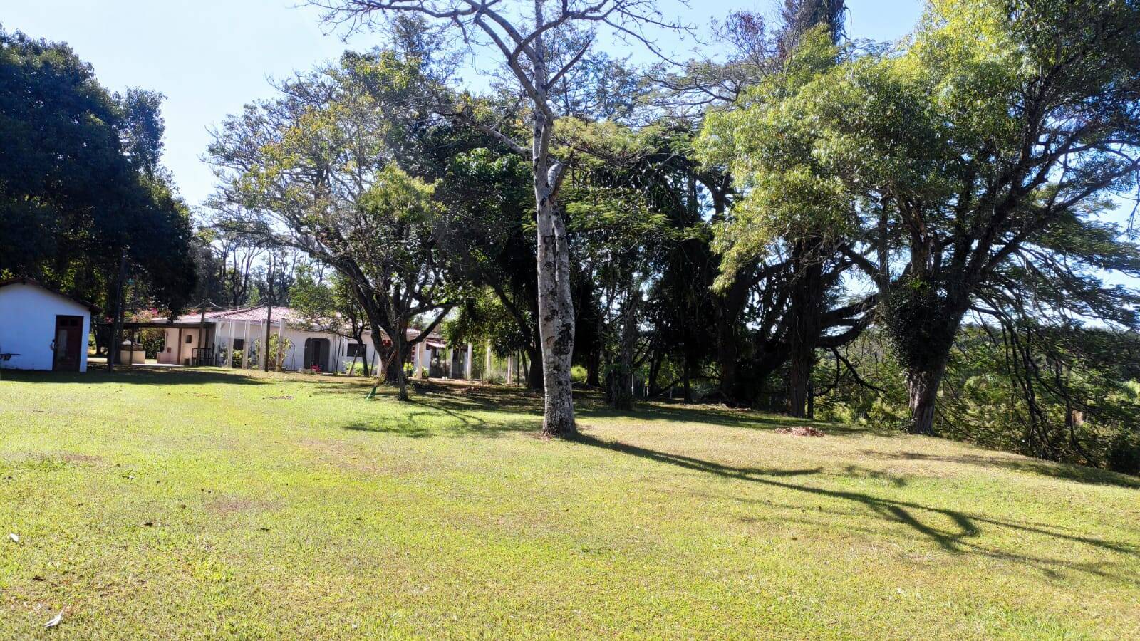 Fazenda à venda com 4 quartos, 363000m² - Foto 42