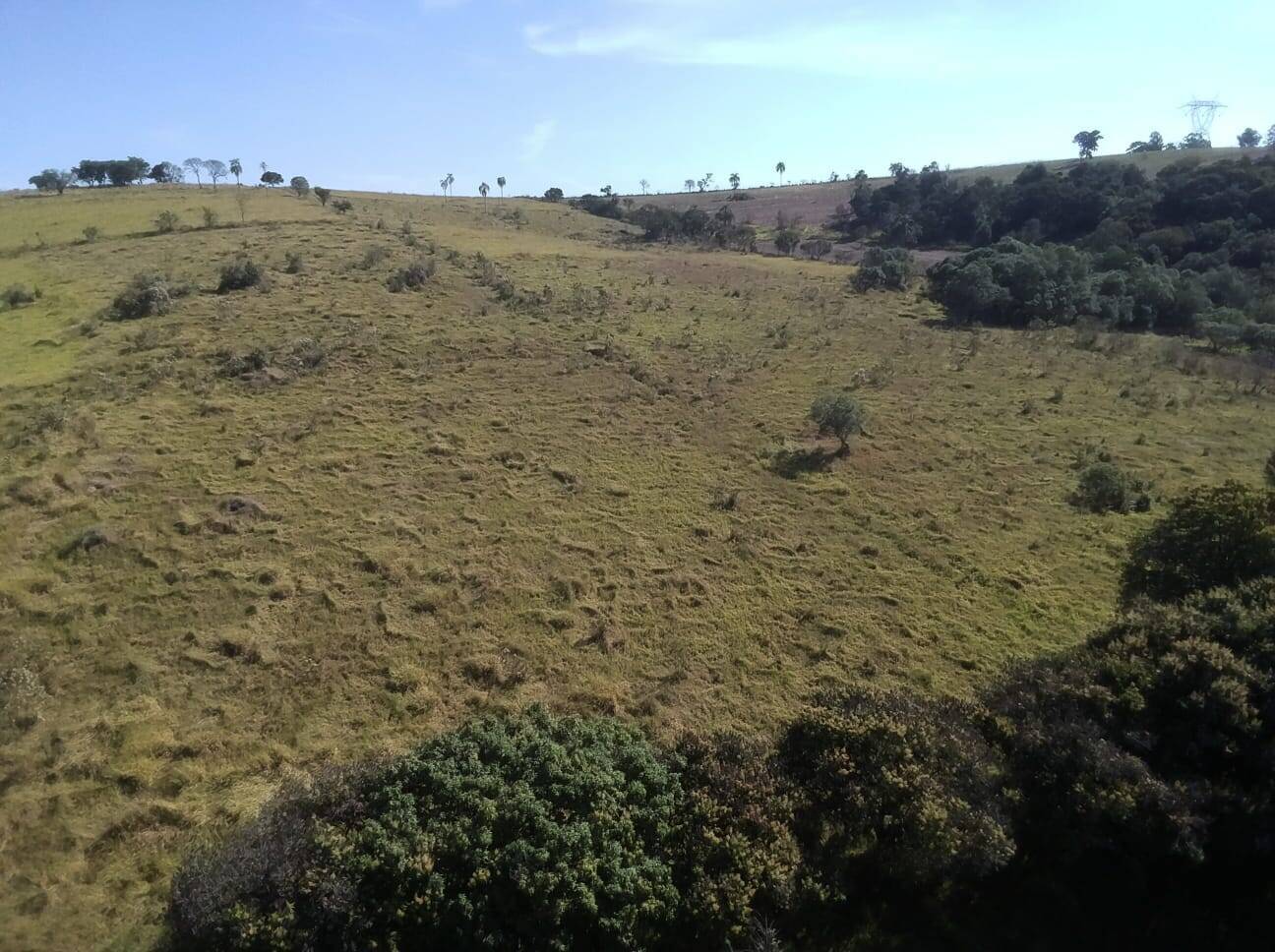 Fazenda à venda com 4 quartos, 363000m² - Foto 44