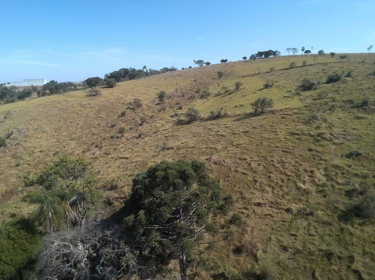 Fazenda à venda com 4 quartos, 363000m² - Foto 53