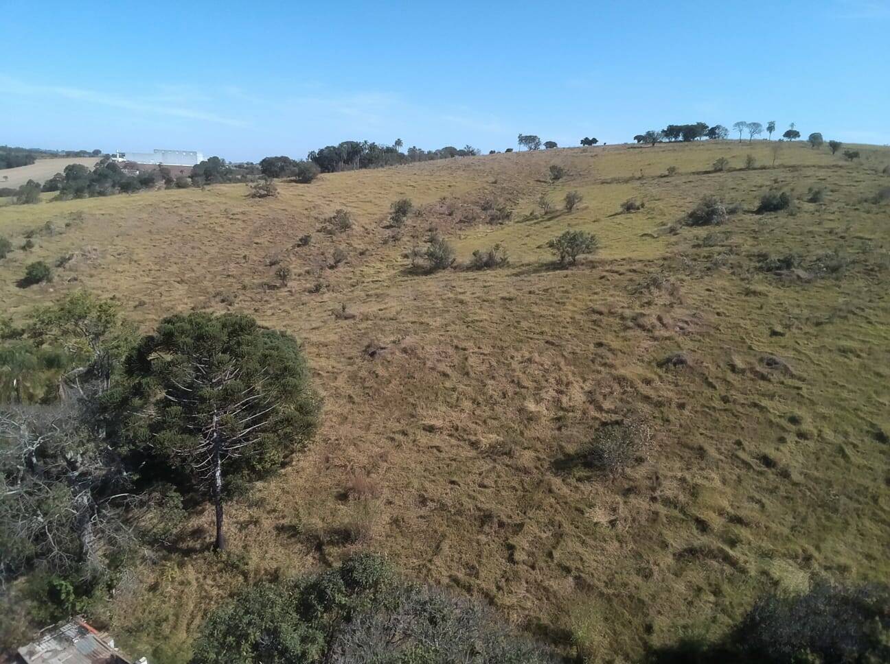 Fazenda à venda com 4 quartos, 363000m² - Foto 54