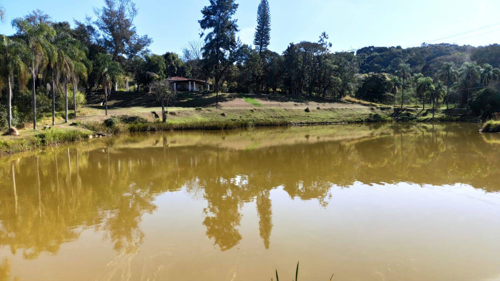 Fazenda à venda com 4 quartos, 363000m² - Foto 56