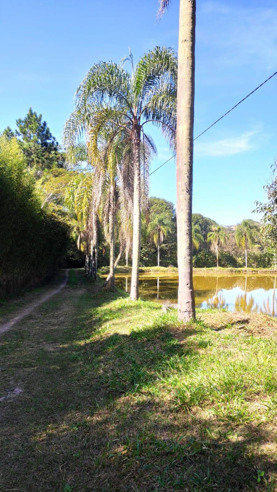 Fazenda à venda com 4 quartos, 363000m² - Foto 59