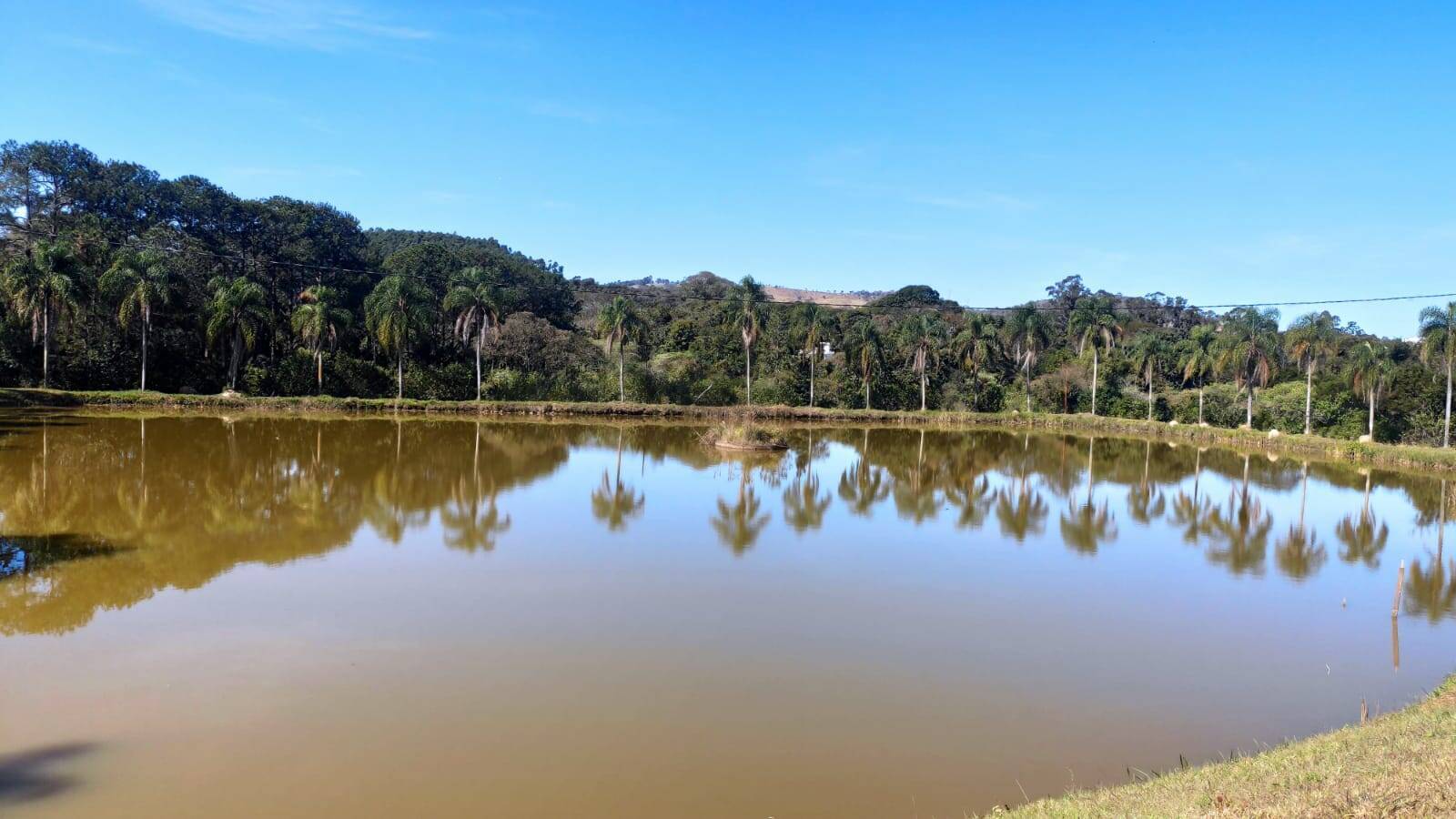 Fazenda à venda com 4 quartos, 363000m² - Foto 60