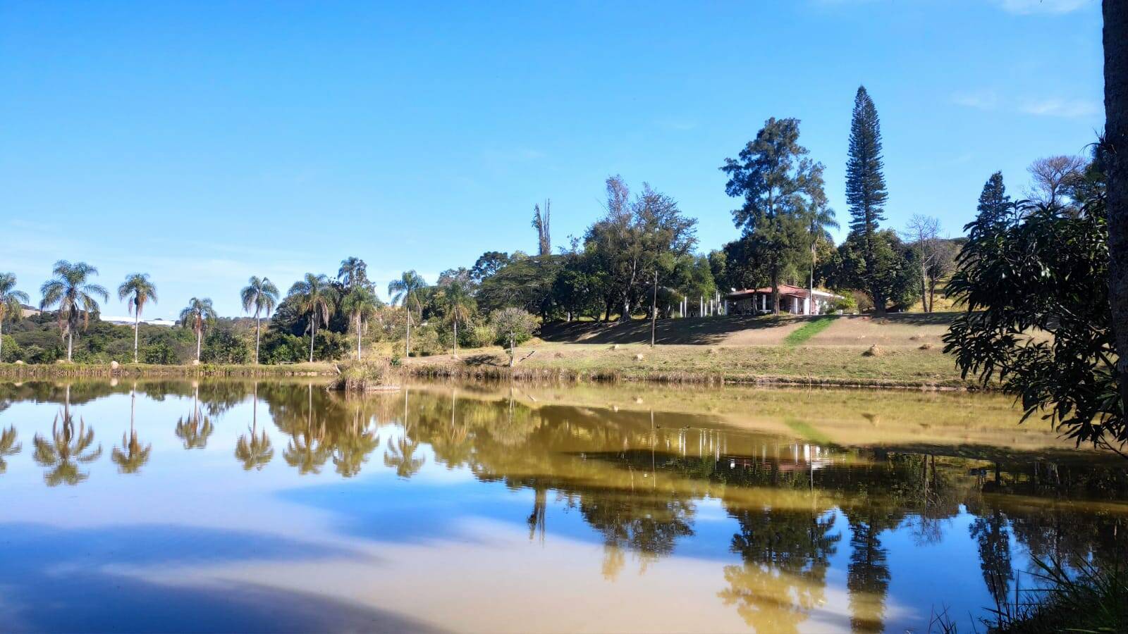 Fazenda à venda com 4 quartos, 363000m² - Foto 61