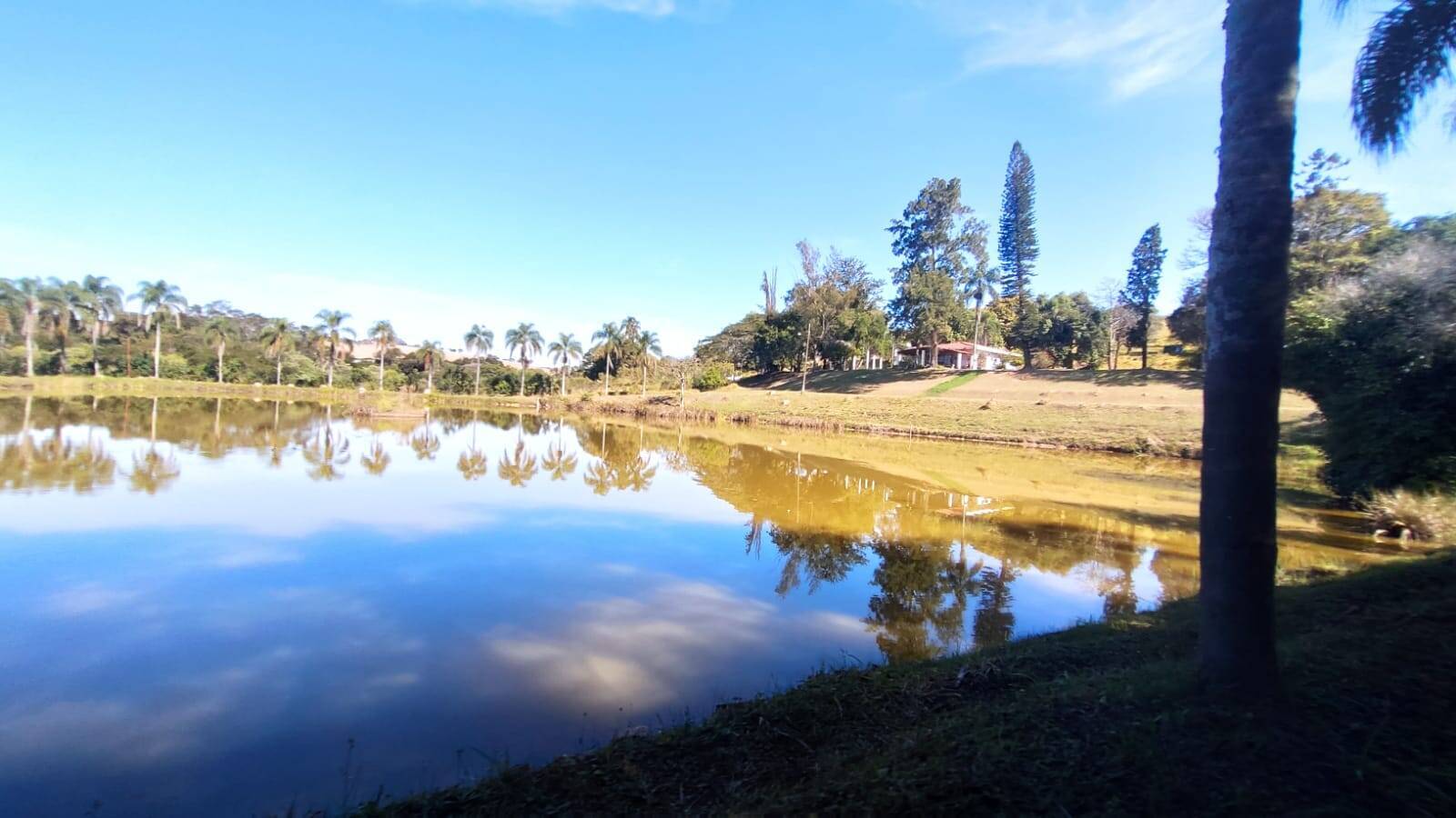 Fazenda à venda com 4 quartos, 363000m² - Foto 66