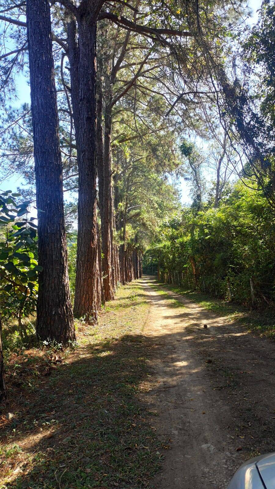 Fazenda à venda com 4 quartos, 363000m² - Foto 68