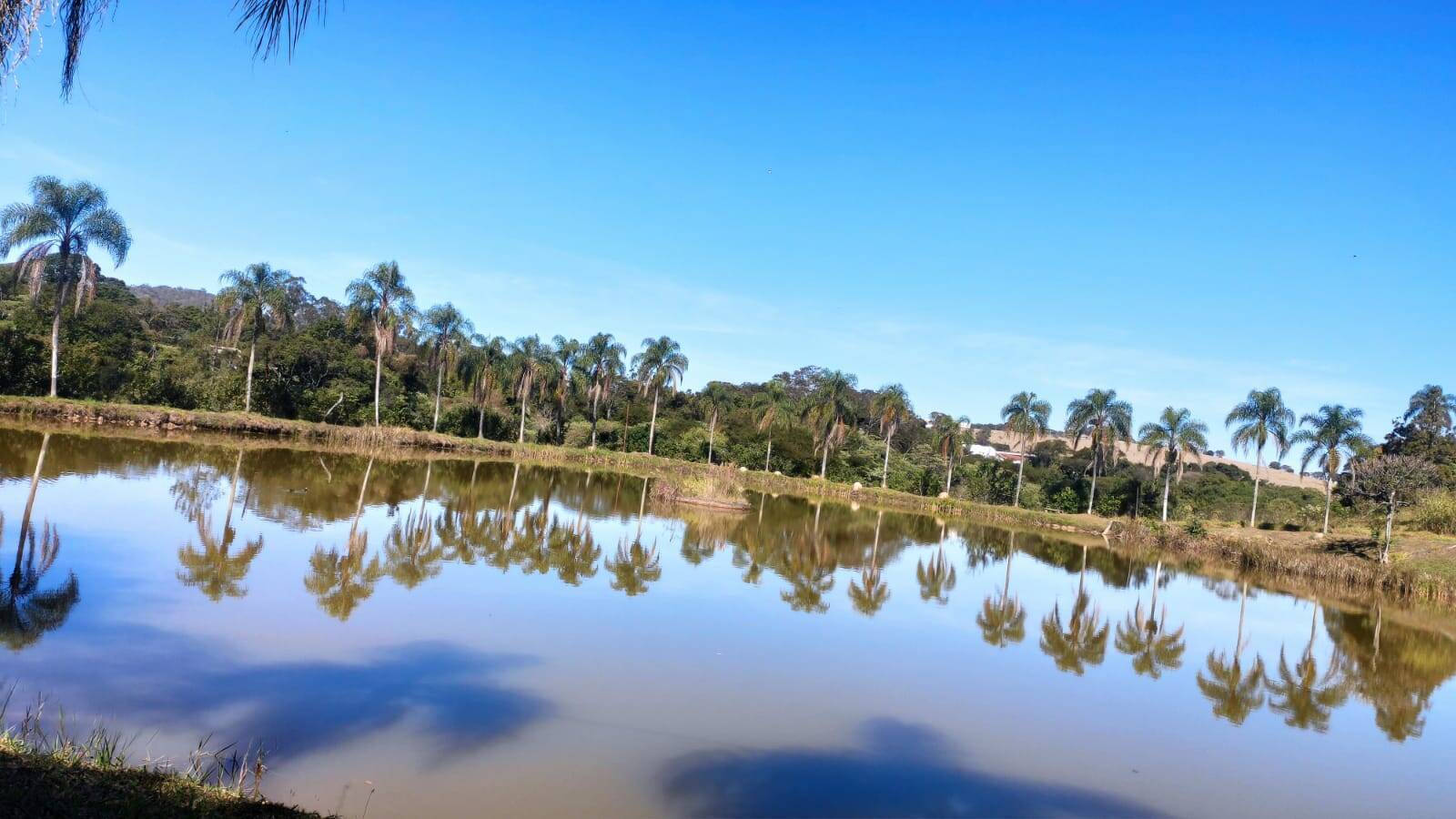 Fazenda à venda com 4 quartos, 363000m² - Foto 69