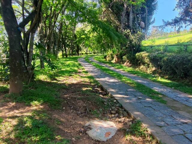 #126 - Sítio para Venda em Atibaia - SP