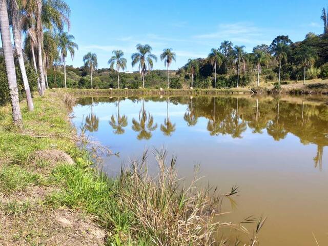 Sítio para Venda em Atibaia - 4